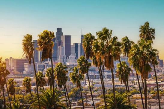 Los Angeles Office